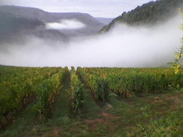 Maison Isolee Dans Les Vignes Et Les Bois Valady Экстерьер фото