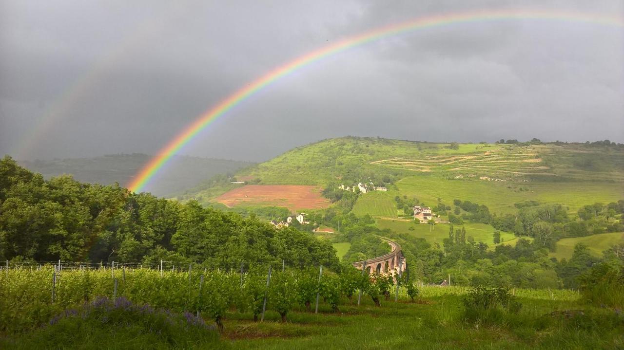 Maison Isolee Dans Les Vignes Et Les Bois Valady Экстерьер фото